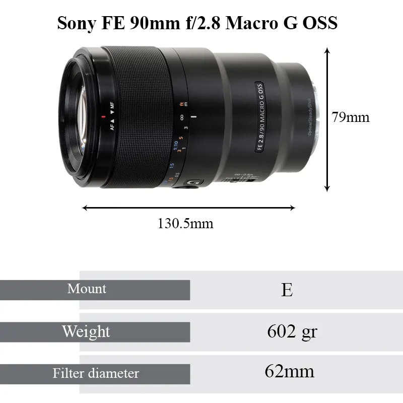 Size Guid (Sony FE 90mm f/2.8 Macro G (OSS
