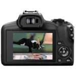 Canon EOS R100