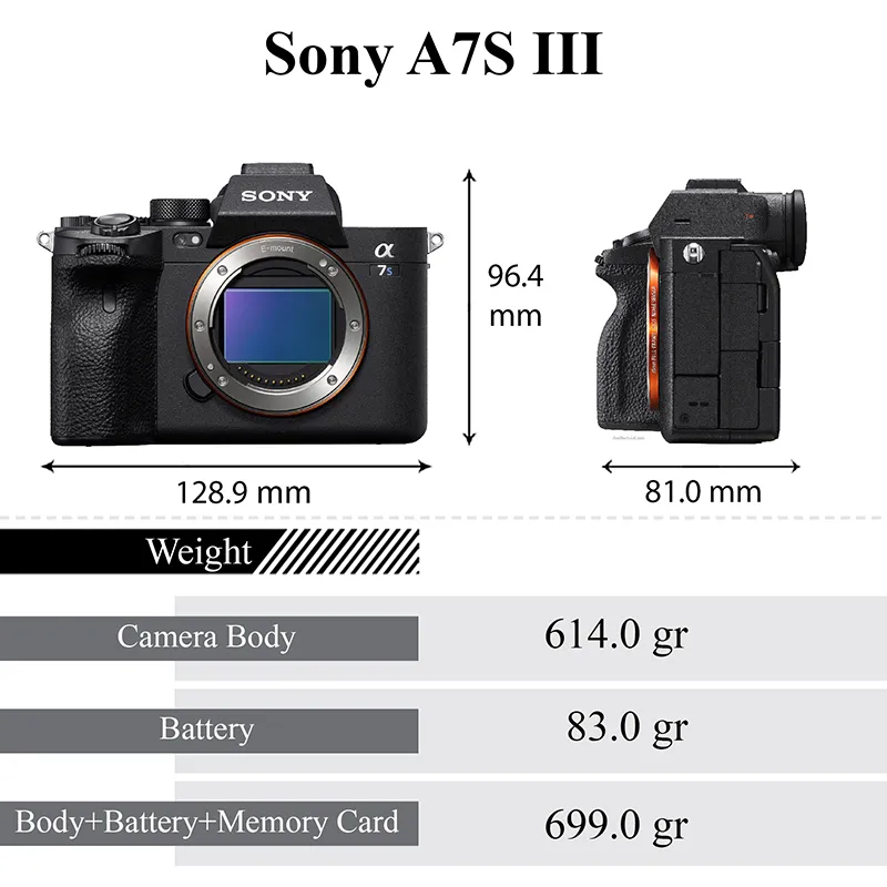 Sony a7s III