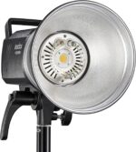 فلاش گودکس Godox MS300-V Studio Flash Monolight - تصویر 5