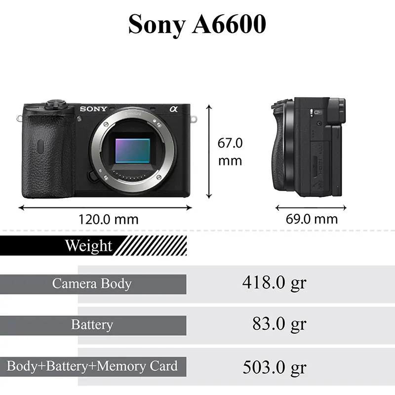 Sony a6600