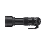 Sigma 60-600mm f/4.5-6.3 DG OS HSM Sport (Nikon F)