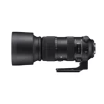 Sigma 60-600mm f/4.5-6.3 DG OS HSM Sport (Nikon F)